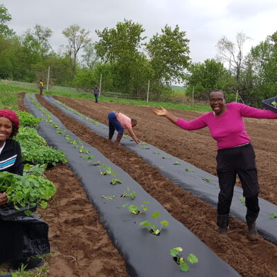 Gedef Farm Next Stage Grant