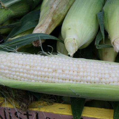 Zucchini Corn Salad