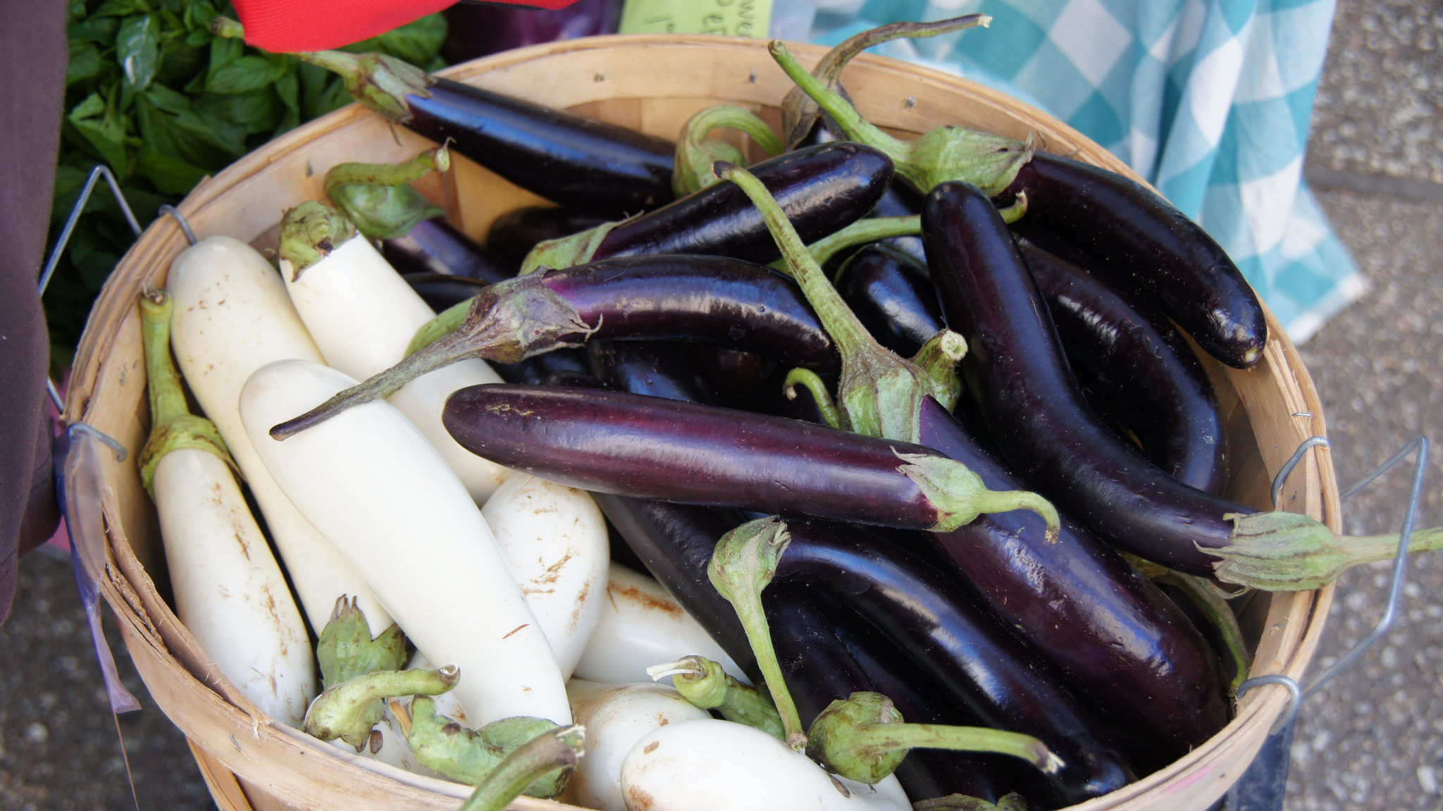Eggplant Saturday Market