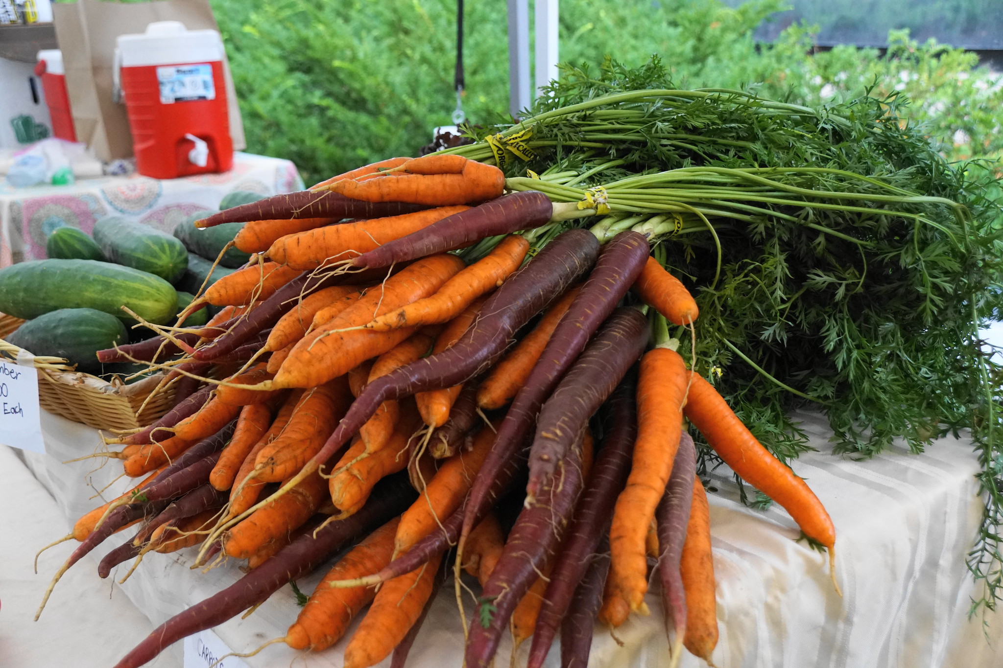Carrot Top Pesto with Roasted Carrots - Mill City Farmers Market