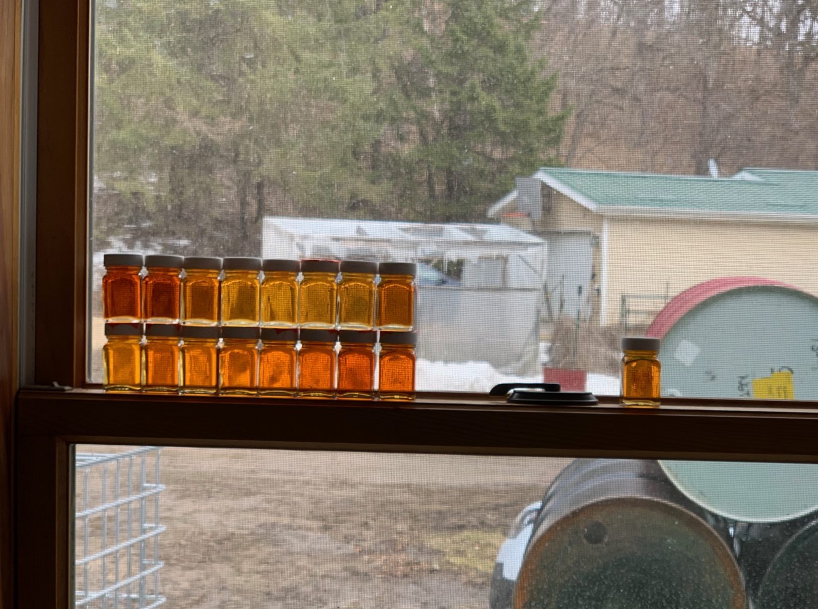 horners corner 2019 harvest