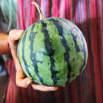 Cucumber and Watermelon Salad