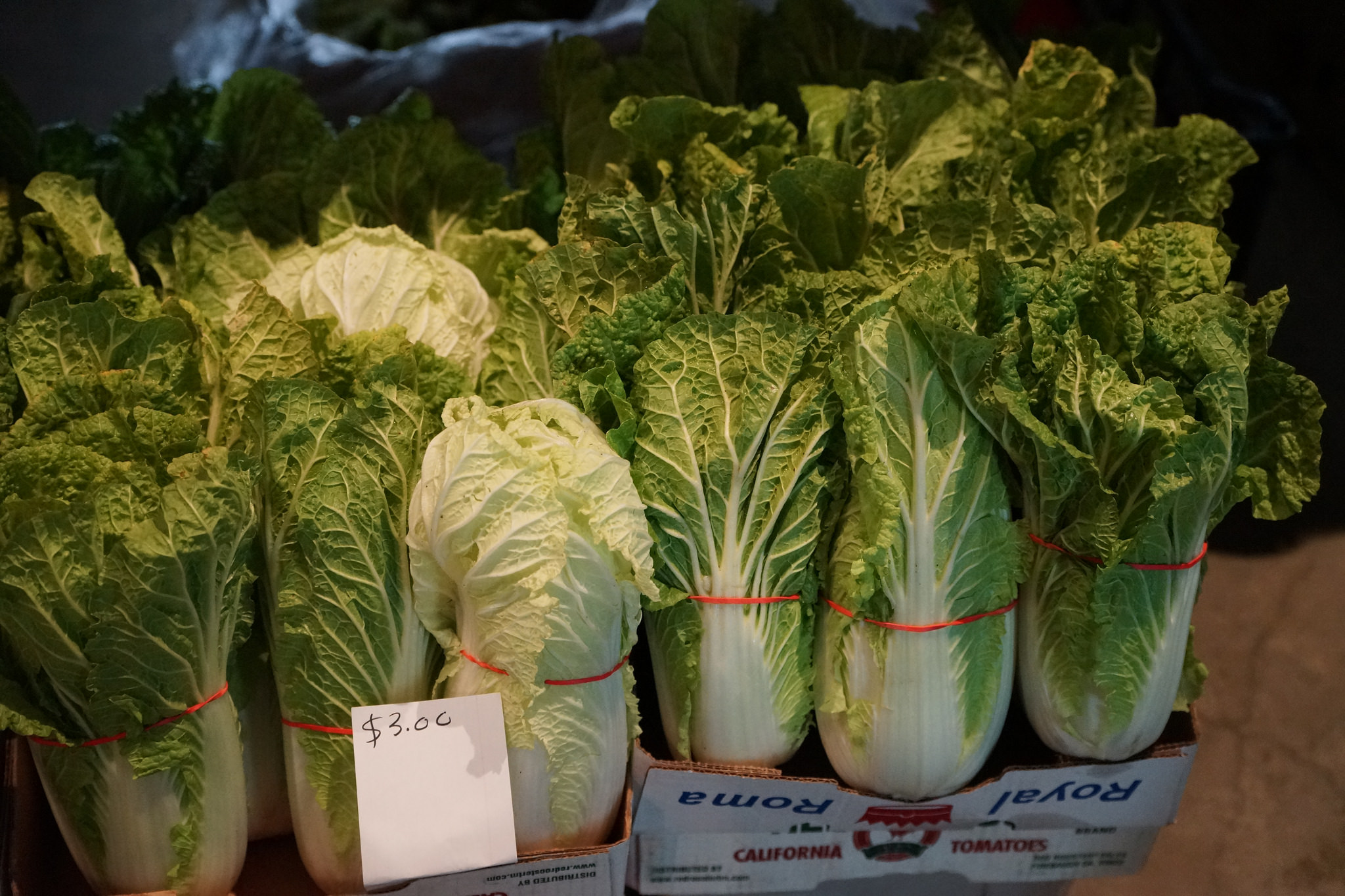Xai’s Quick-Braised Cabbage and Beans - Mill City Farmers Market