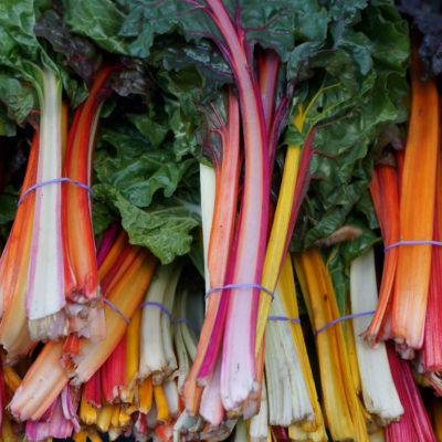Fermented Swiss Chard Stems