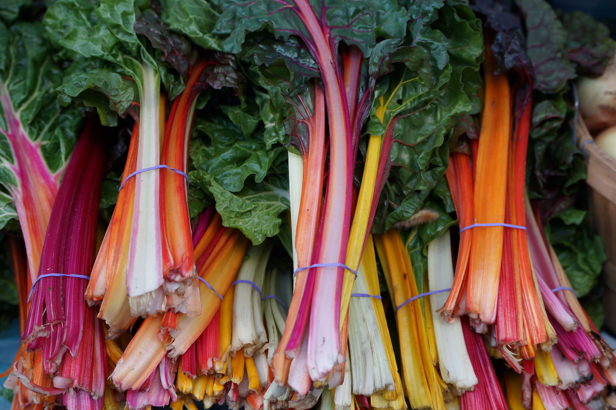 Rainbow chard stalks
