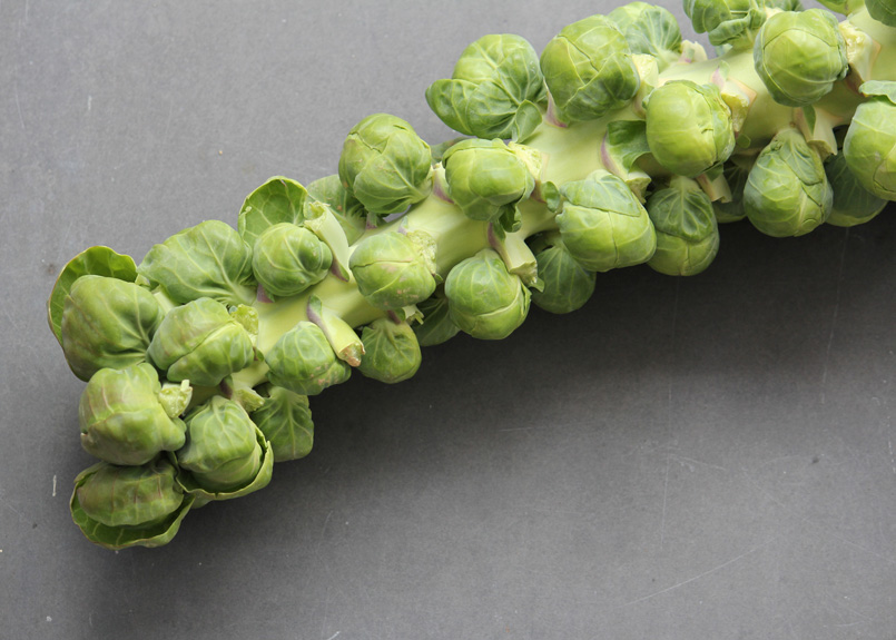 Roast Brussels Sprouts and Parsnips with Maple-Soy Glaze - Mill City Farmers Market