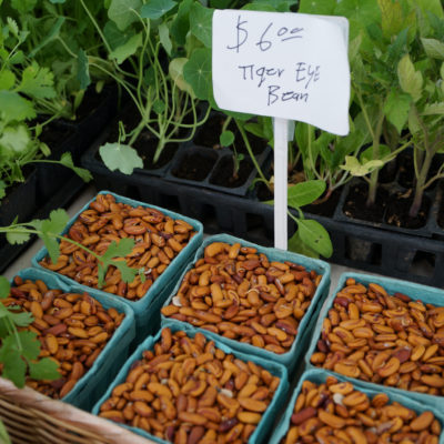Saturday Market