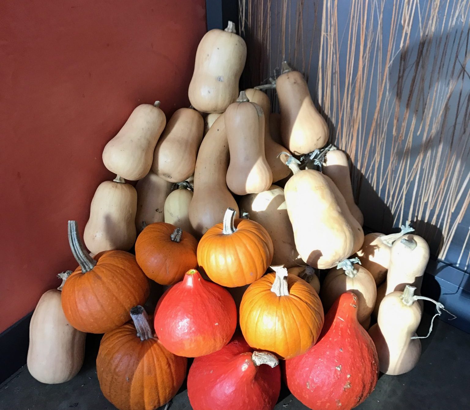 Butternut Squash at Spoonriver