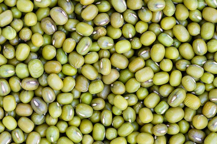 Mung Bean and Shredded Vegetable Salad - Mill City Farmers Market