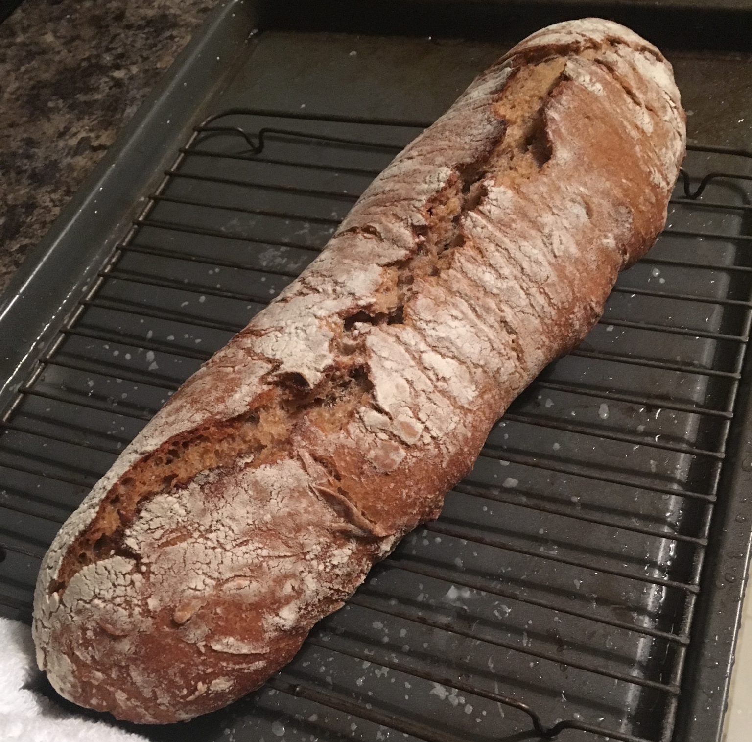 Sunflower Seed Rye - Mill City Farmers Market