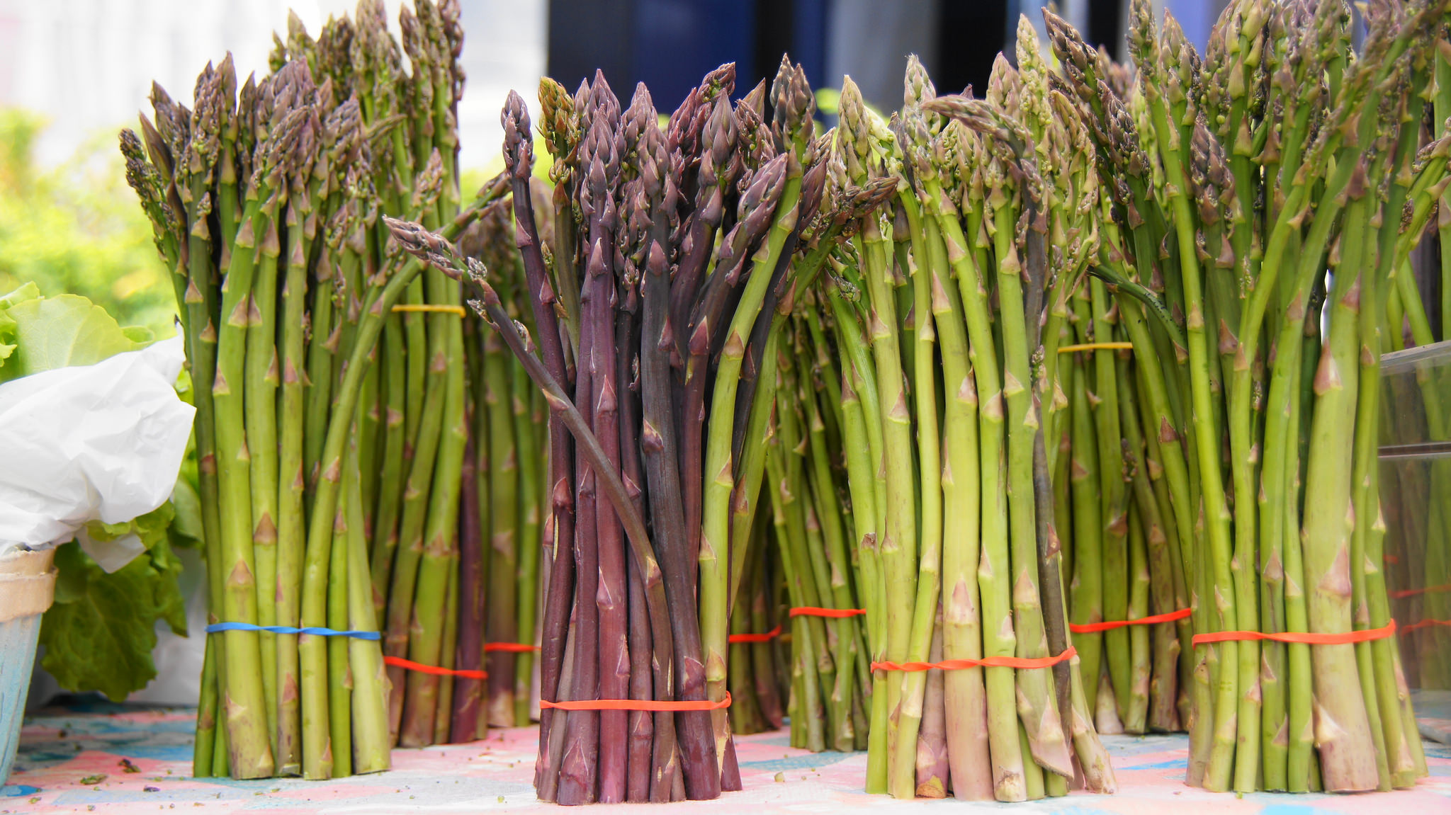 Asparagus