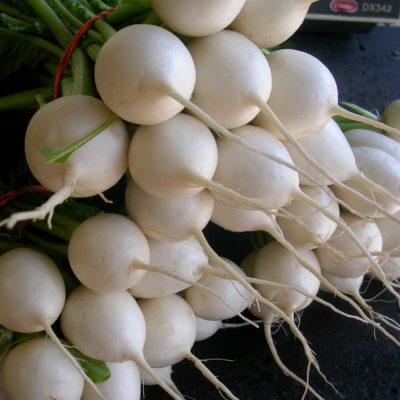 Japanese Pickled Turnips Recipe Mill City Farmers Market