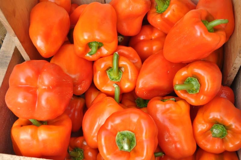 Caribbean Sofrito Recipe - Mill City Farmers Market