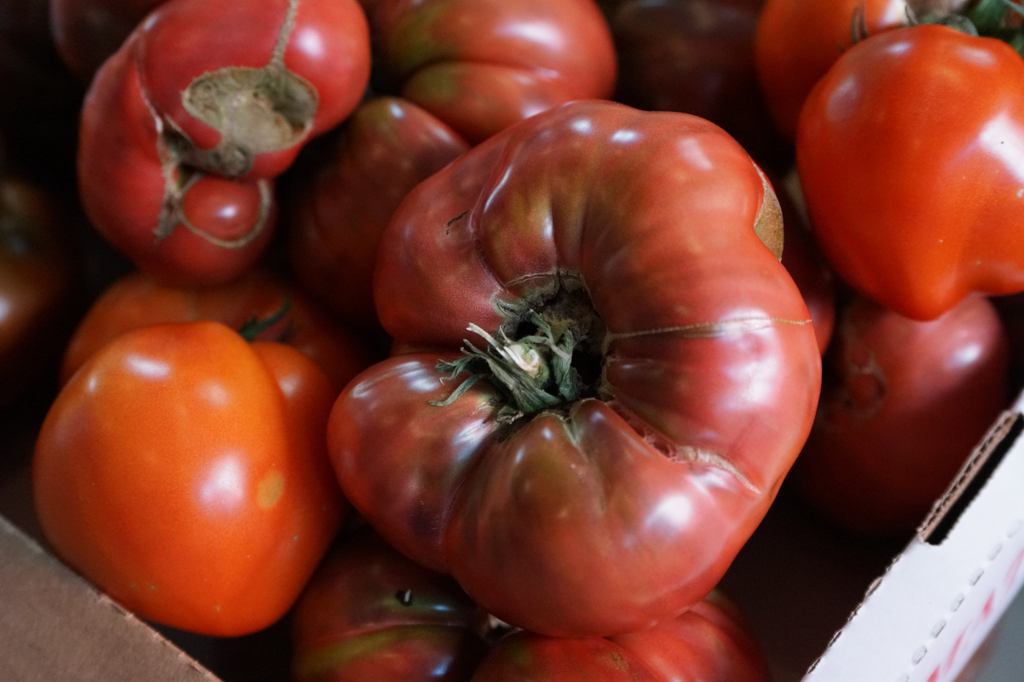 Nistler Farms' Frozen Roasted Tomatoes - Mill City Farmers Market