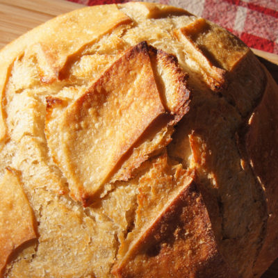 Norwich Seeded Bread Festival