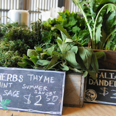 Burning River Mediterranean Herbs