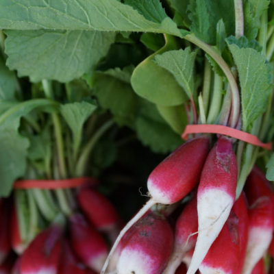 Radish Leaf Green Goddess Dressing