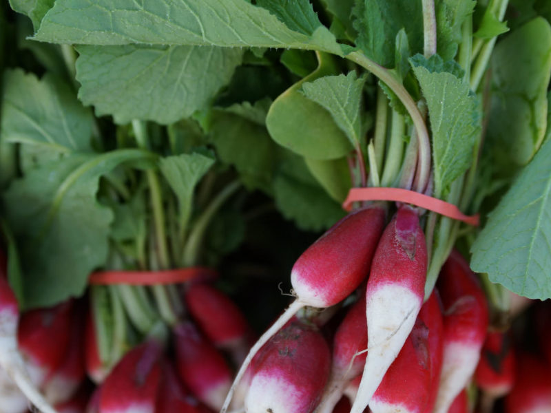 Radish Leaf Green Goddess Dressing