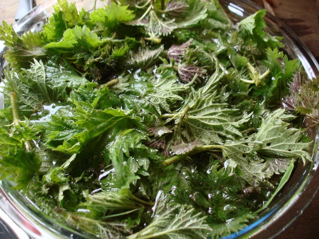 Strettine: Nettle Pasta - Mill City Farmers Market