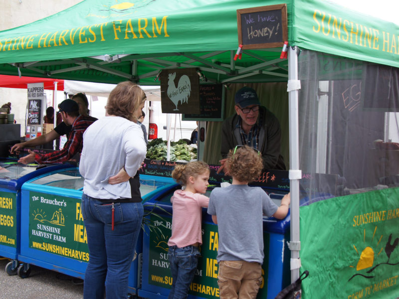 Braucher's Sunshine Harvest Farm