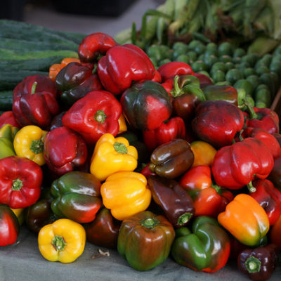 Pepper Salsa