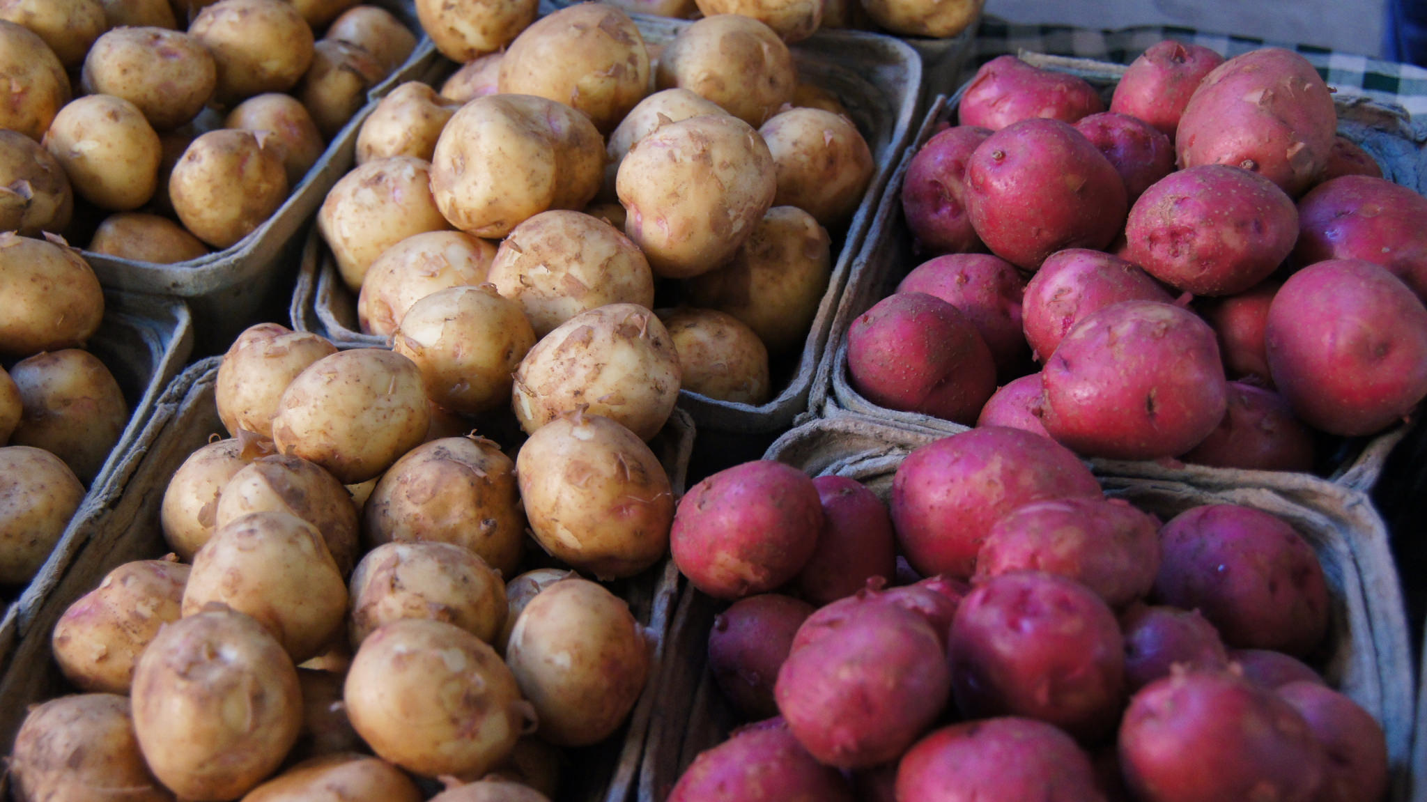 Salt Boiled Potatoes with Sage Butter - Mill City Farmers Market