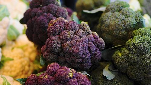 Broccoli Slaw With Citrus Dressing - Mill City Farmers Market