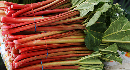 Ginger Rhubarb Chutney - Mill City Farmers Market
