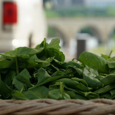 spinach
