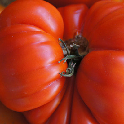Tomato Cucumber Salad